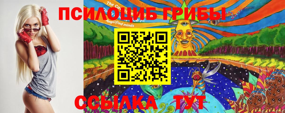 Псилоцибиновые грибы Psilocybe  Вход с VPN  Тейково 