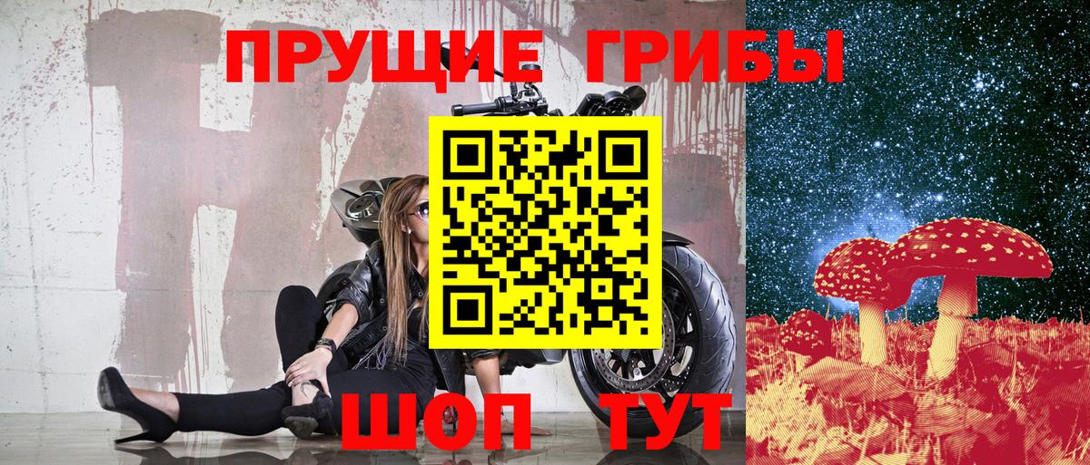 Галлюциногенные грибы прущие грибы Тейково